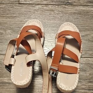 Charles By Charles David Rust Wedge Sandals